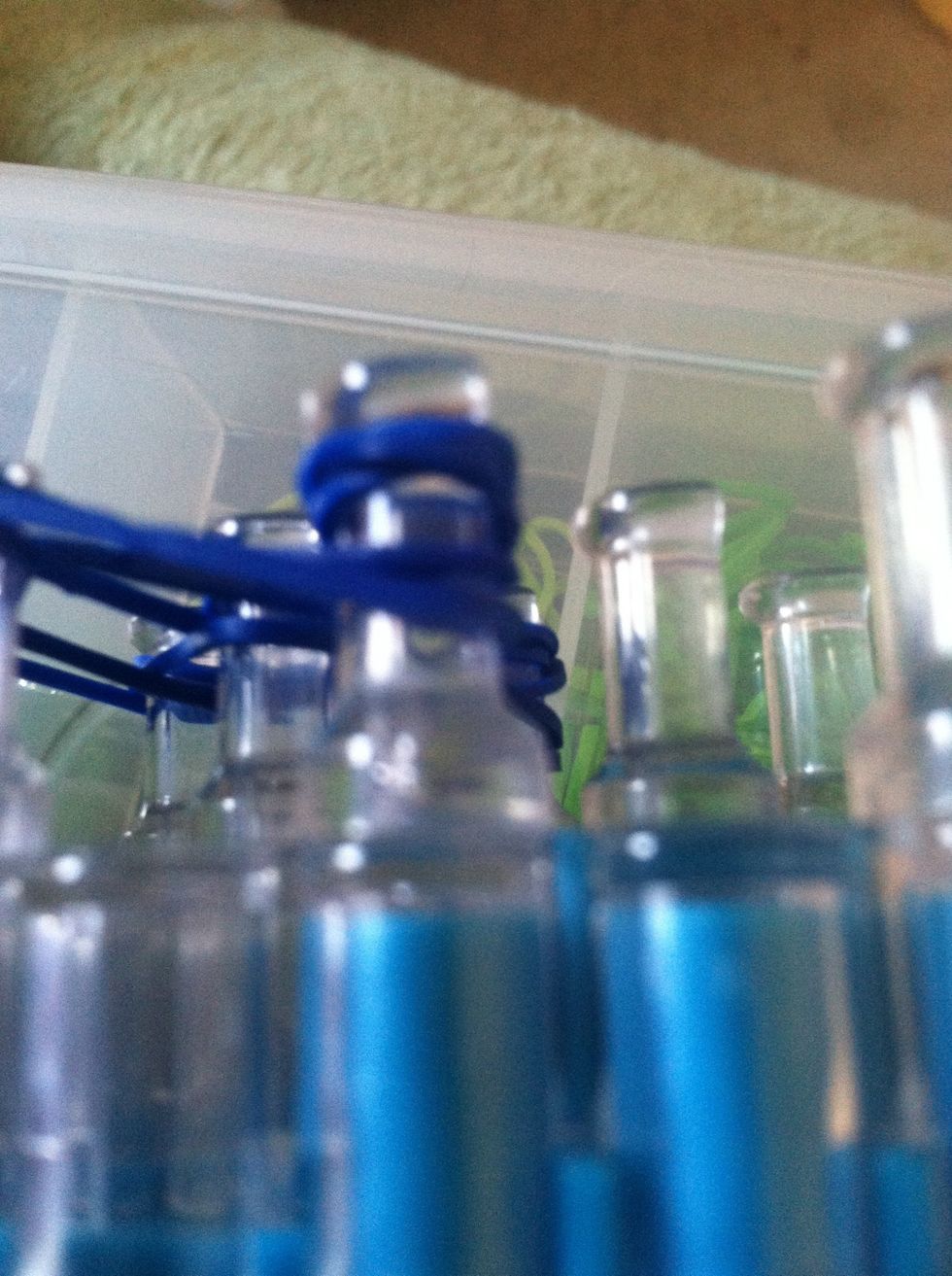 Put a cap band on each of the last two pegs