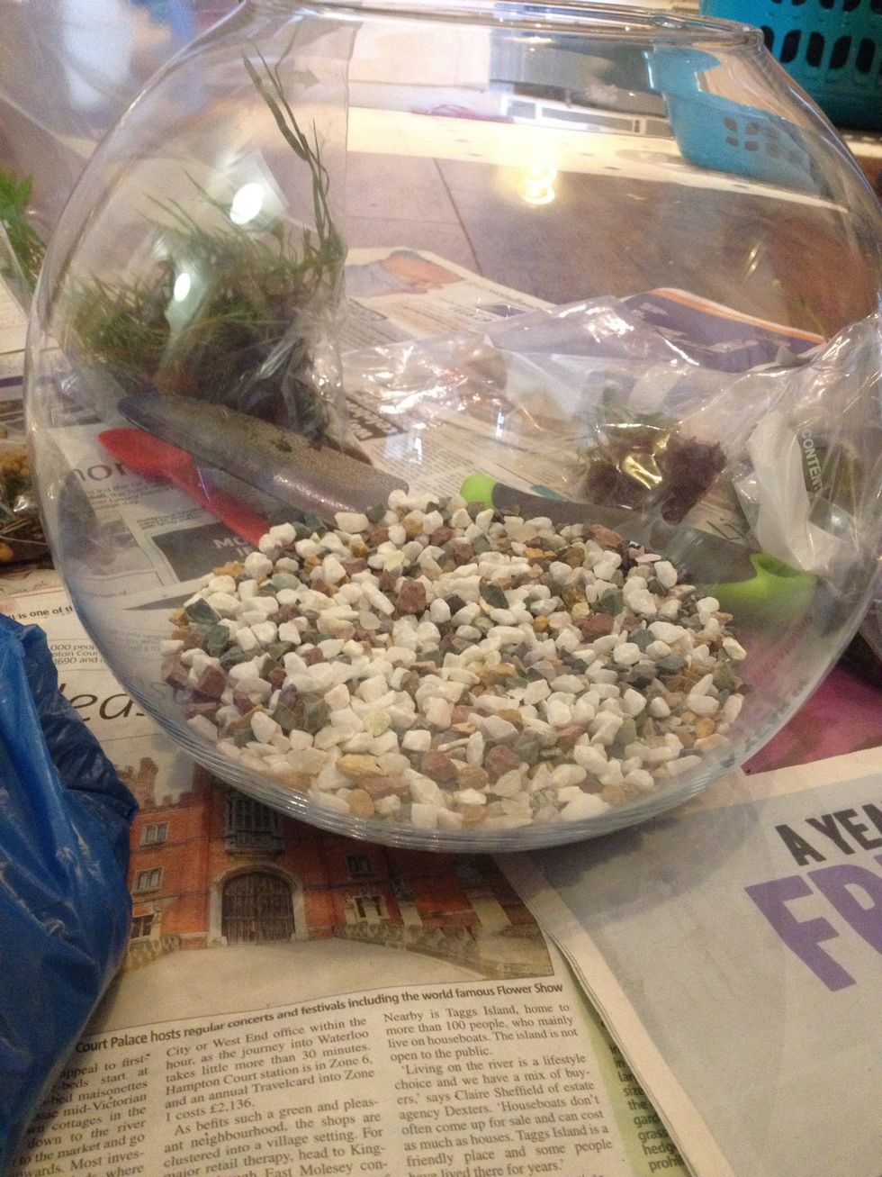 Put a layer of pebbles into your glass bottle. I'm using a large round vase. As long as it has a wide neck you'll be fine. Needs the wide neck so you can get your hand into the bottle to plant.