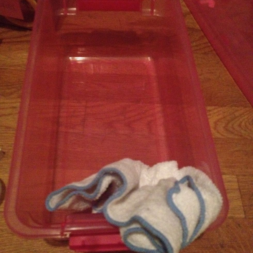 Put a little rubbing alcohol on a microfiber cloth and wipe the entire bin ( including the lid ). I found this was the quickest way to clean and make the bin look shiny like new.