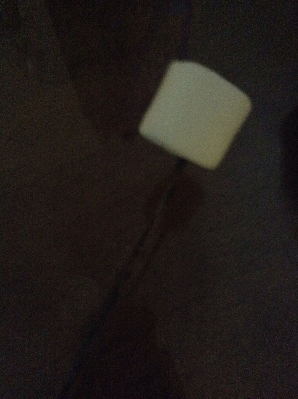 Put a marshmallow on the stick