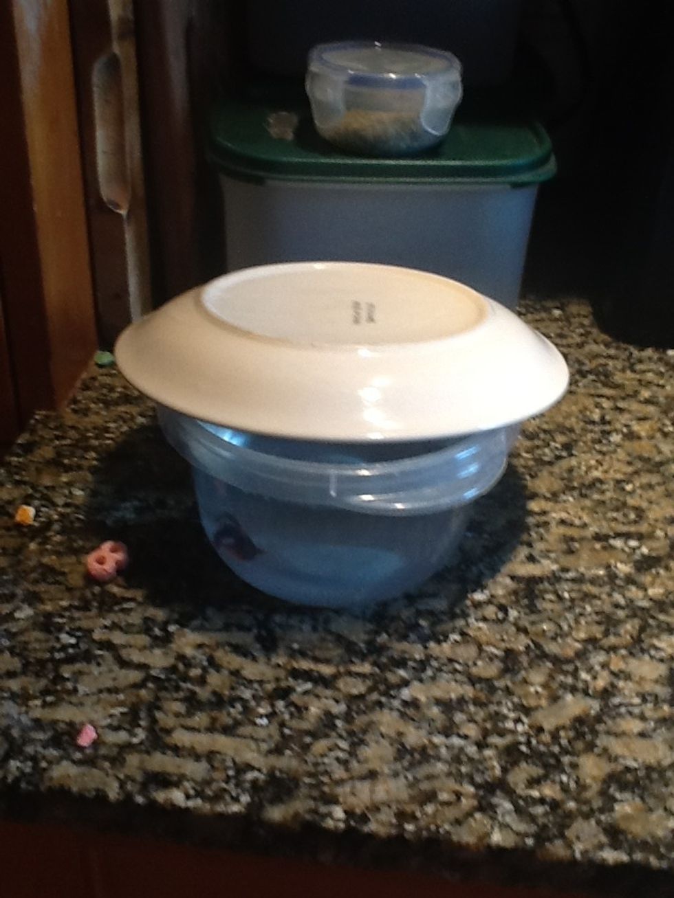 Put a plate over the bowl but leave a small hole so the fish can breath. We do this because some fish may jump out. BETTER TO BE SAFE THEN SORRY!!!!!!