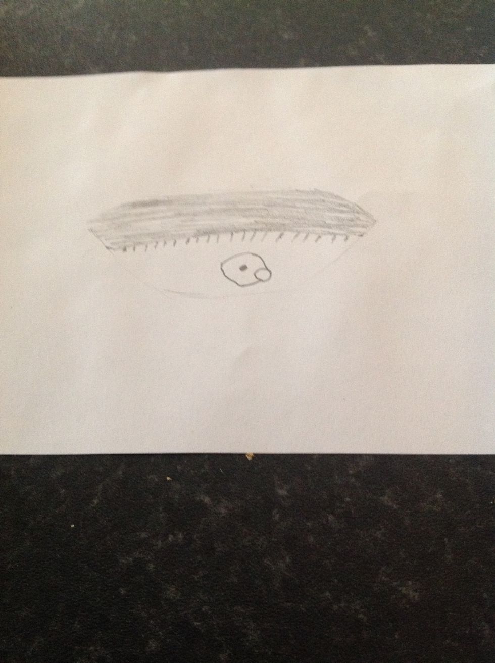 Put a pupil in the middle and draw the eye lashes