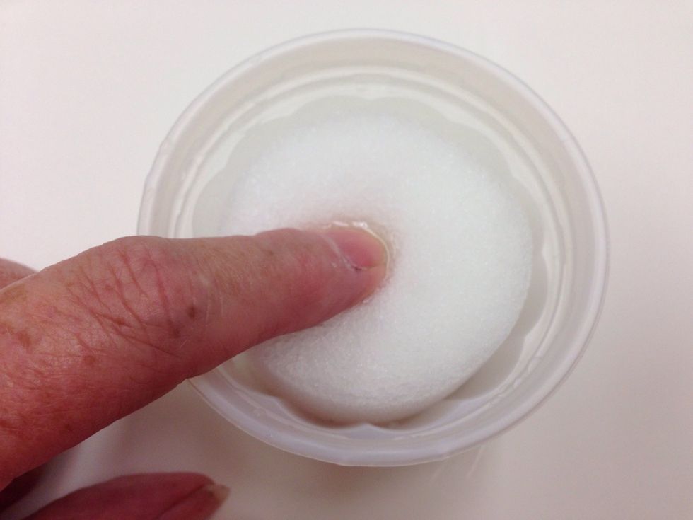 Put a tiny amount of water in your small container. Place the sponge on top and press down so it absorbs all of the water.