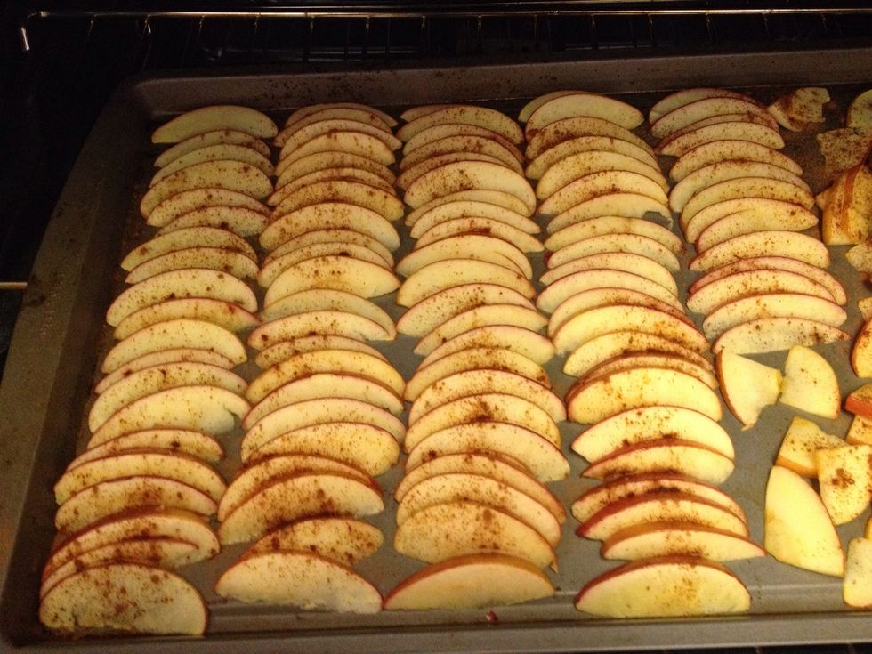 Put apple slices in oven for 1 hour, flip slices over and bake 1 more hour.