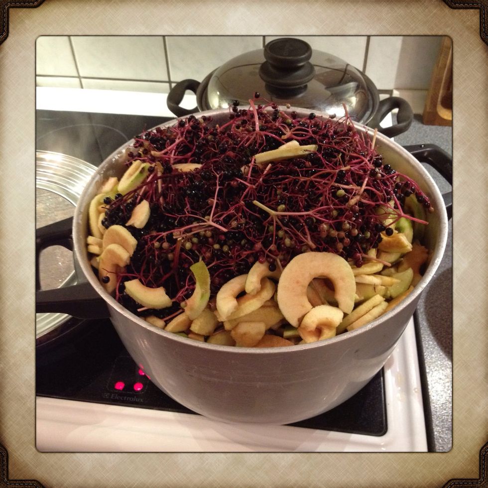 Put berries, apples and 2 litres of water in a pot and start boiling. It takes approximately 30-45 minutes of boiling to get all the juice out