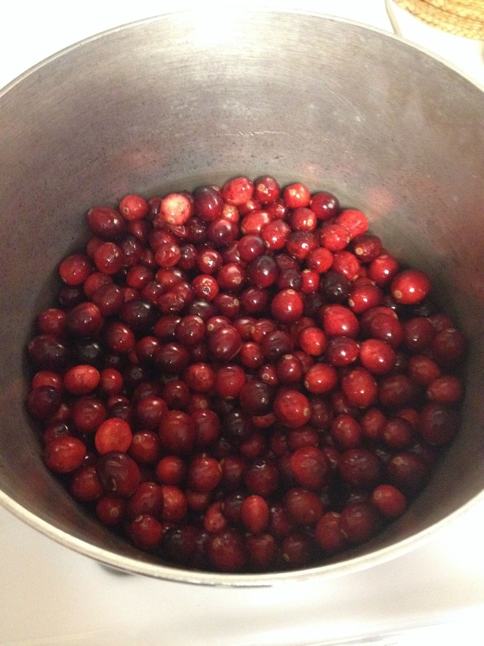 Put cranberries in a large pot