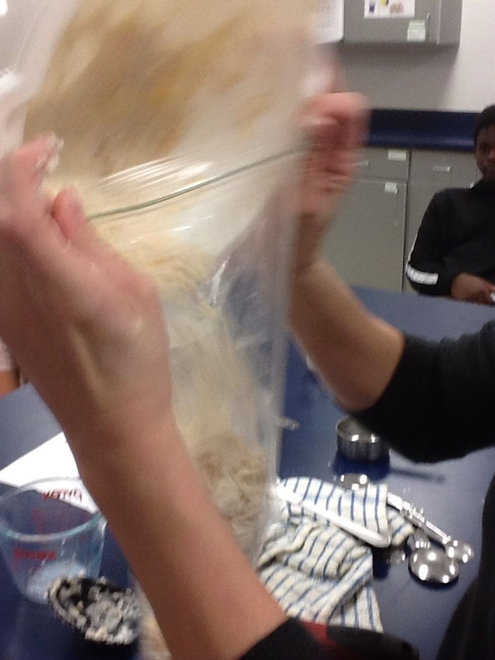 Put dough into a ziploc bag and put in refrigerator. End day 1 lab