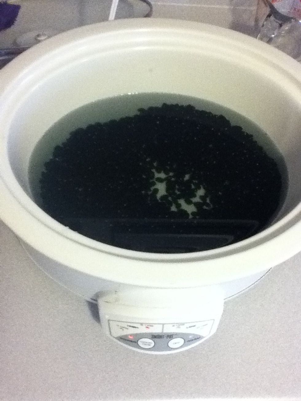 Put 'em in on any setting, really, 4 hours or ten doesn't matter much. Add enough water to cover 'em by a few inches. You don't hafta measure 'cuz you're gonna drain 'em later.