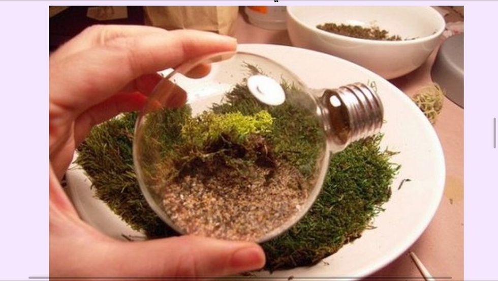 Put ever thing inside and macke your garden.