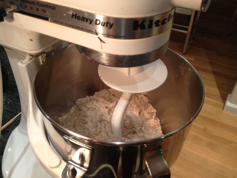 Put half of the flour & water mixture into the bowl of an electric mixer. Using the dough hook attachment, mix on medium for 1 minute and 30 seconds. Alternatively, hand knead for 150 strokes.