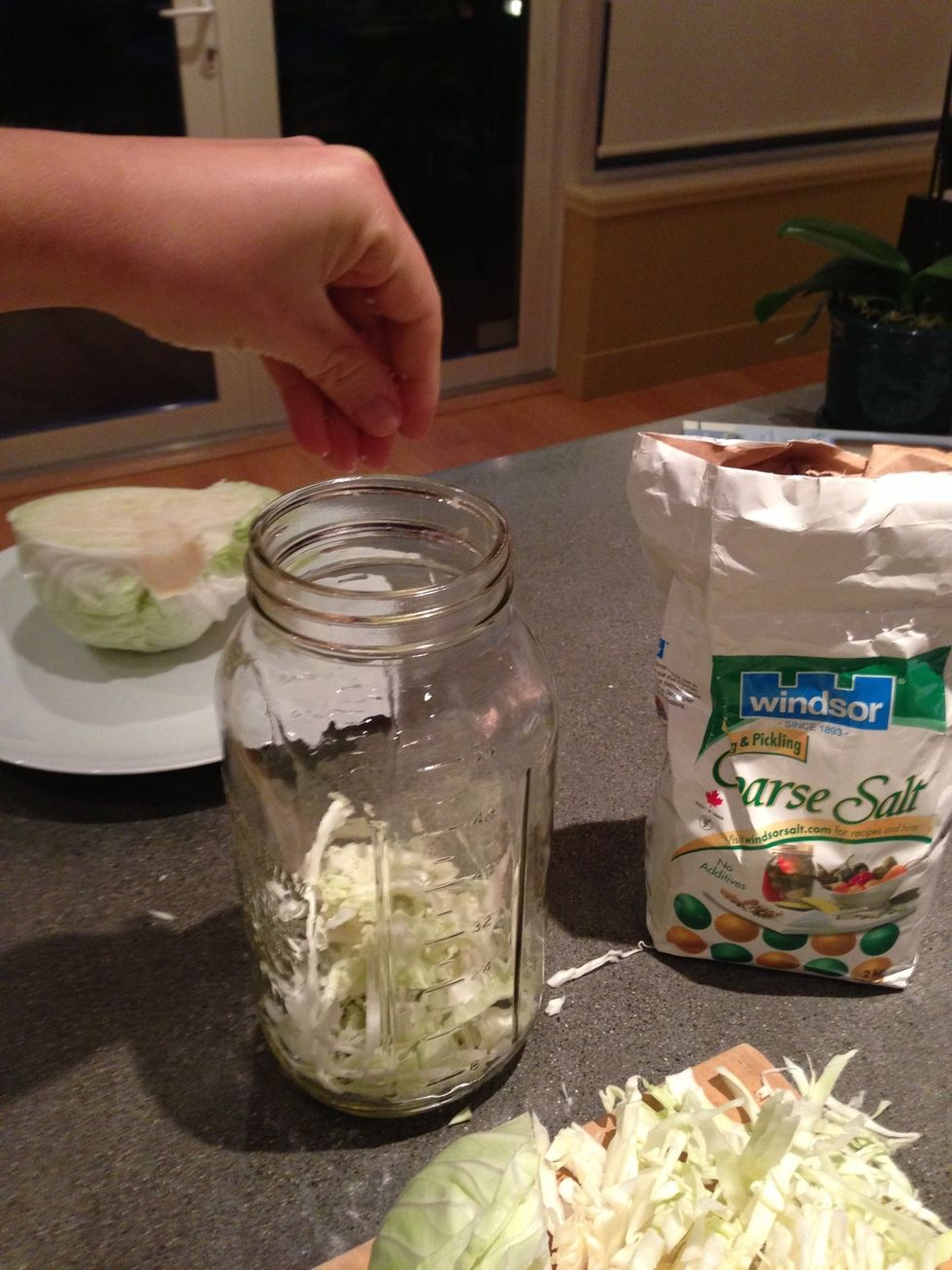 Put handfuls of cabbage in the picking jar and add salt as you go along. No need to measure. More salt in the summer and less in the winter.