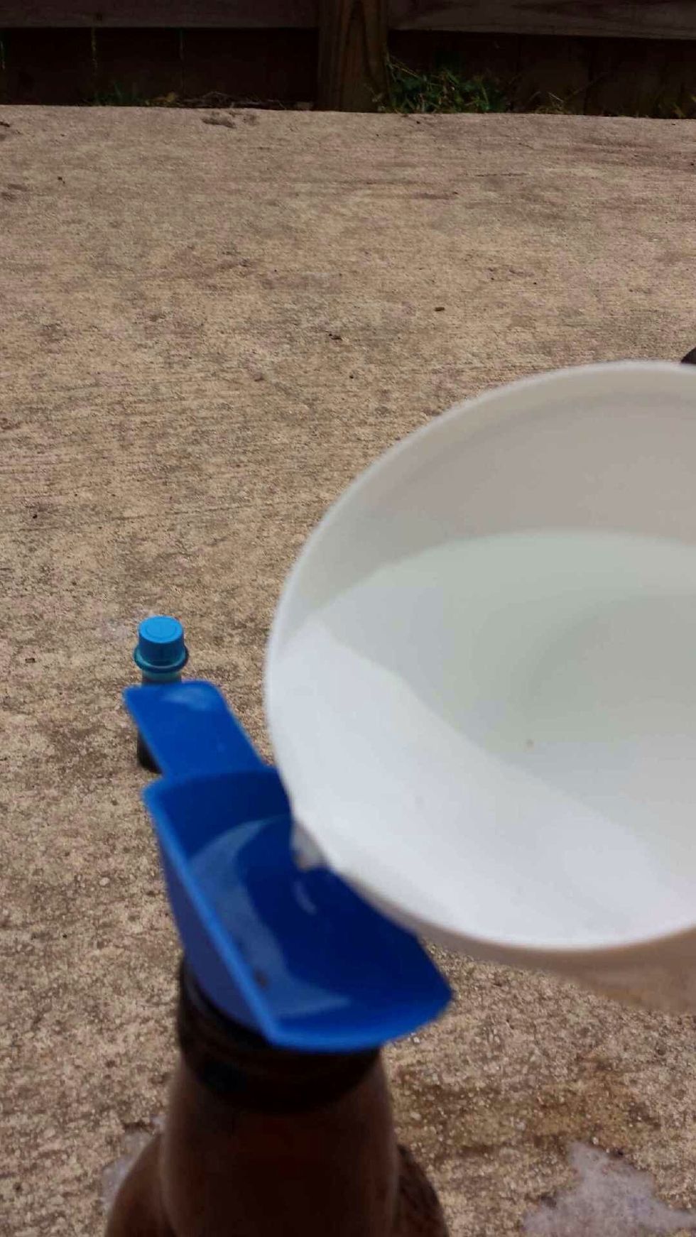 Put hydrogen peroxide inside bottle