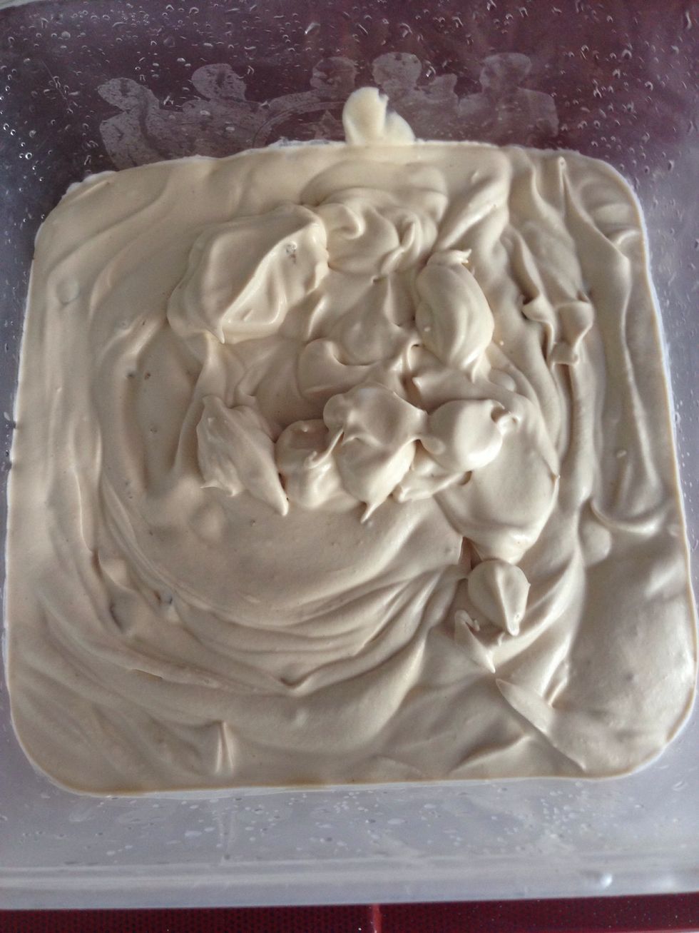 Put in a container and freeze for at least 8 hours before serving!