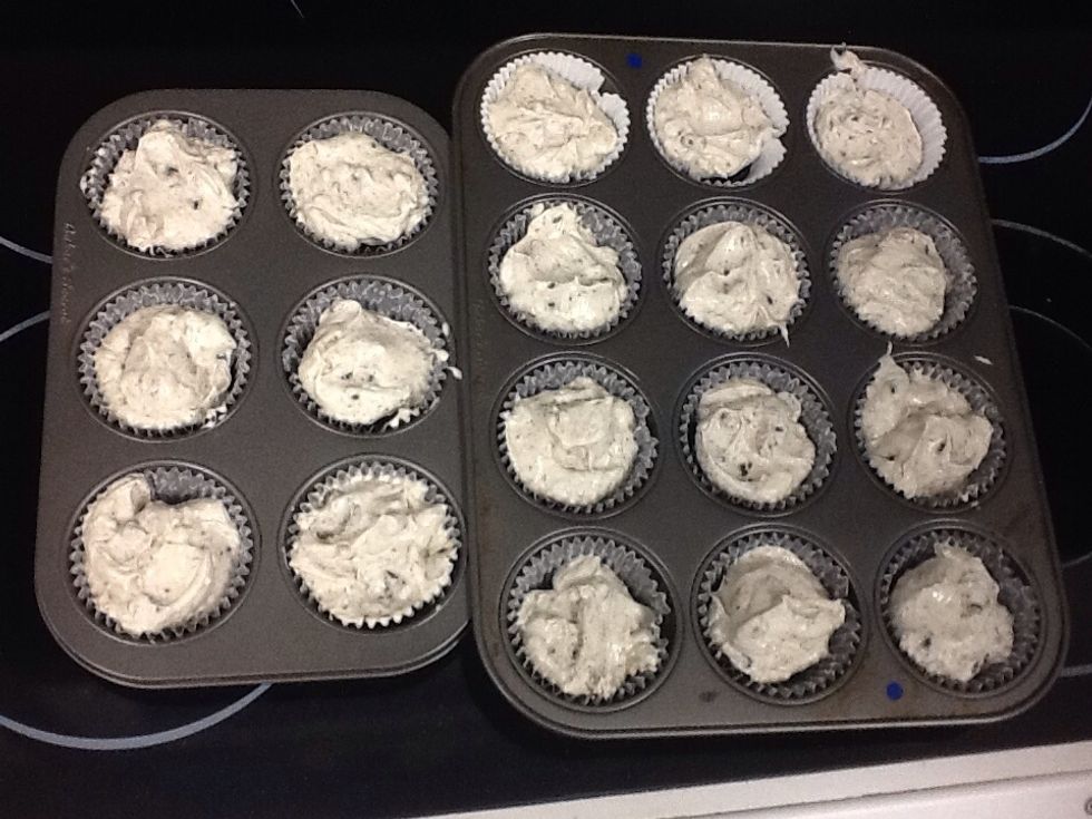 Put in the cheesecake mix