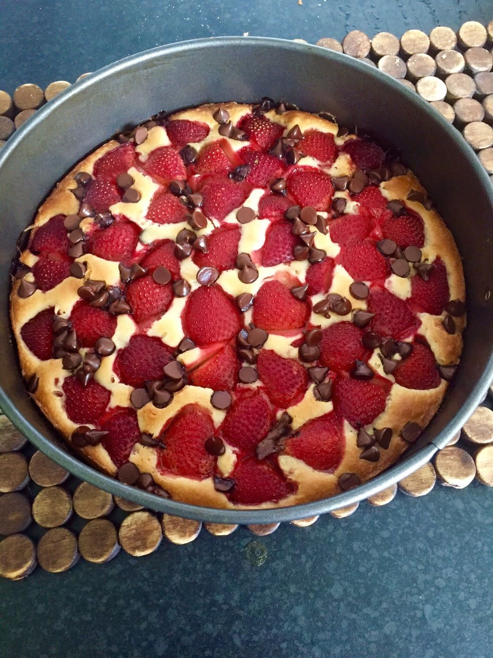 Put in the oven and wait until the top looks golden and the inside is dry when checked. You can add some more chocolate chips at the very last 5 minutes