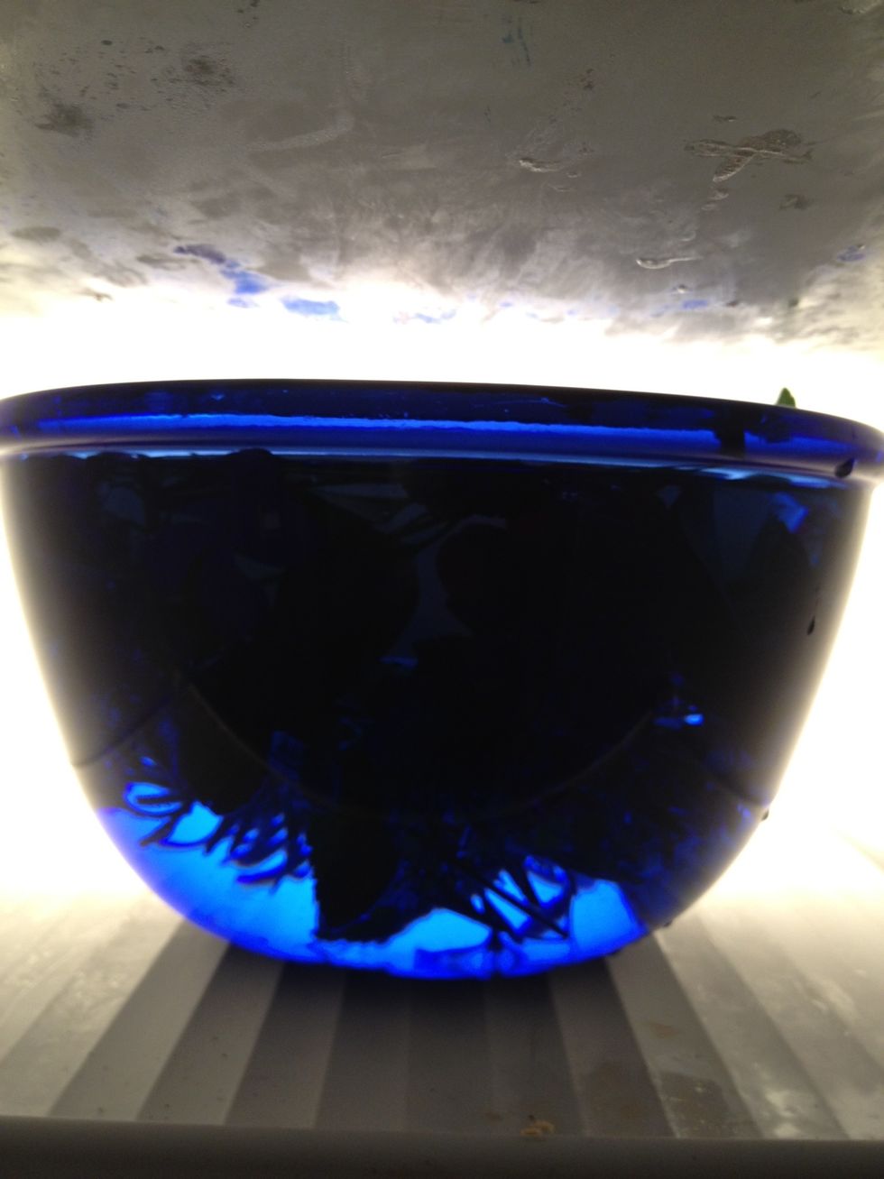 Put into the freezer and freeze over night