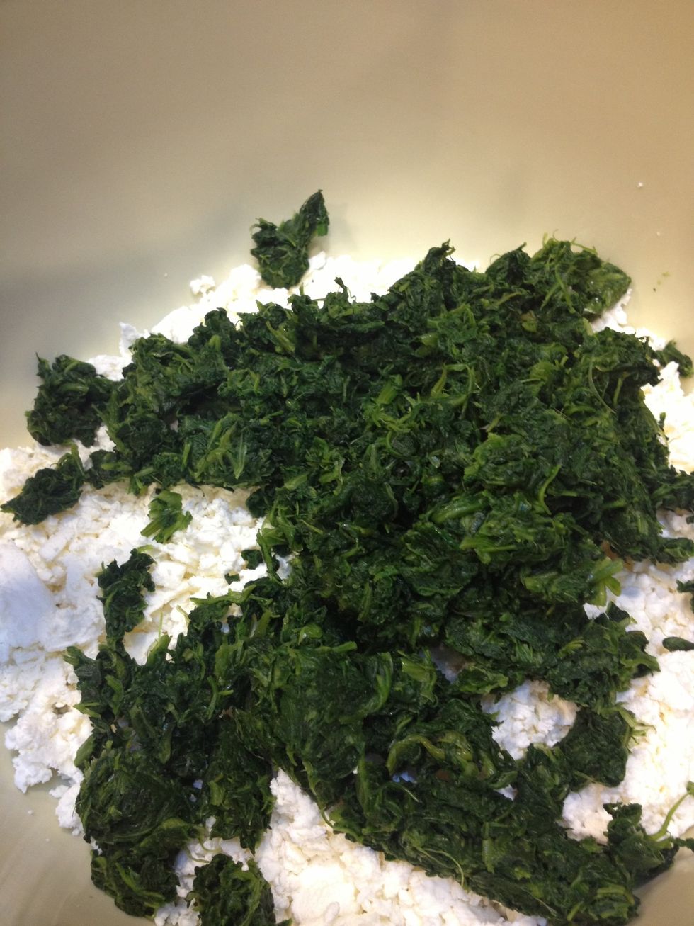 Put into your white cheese and mix