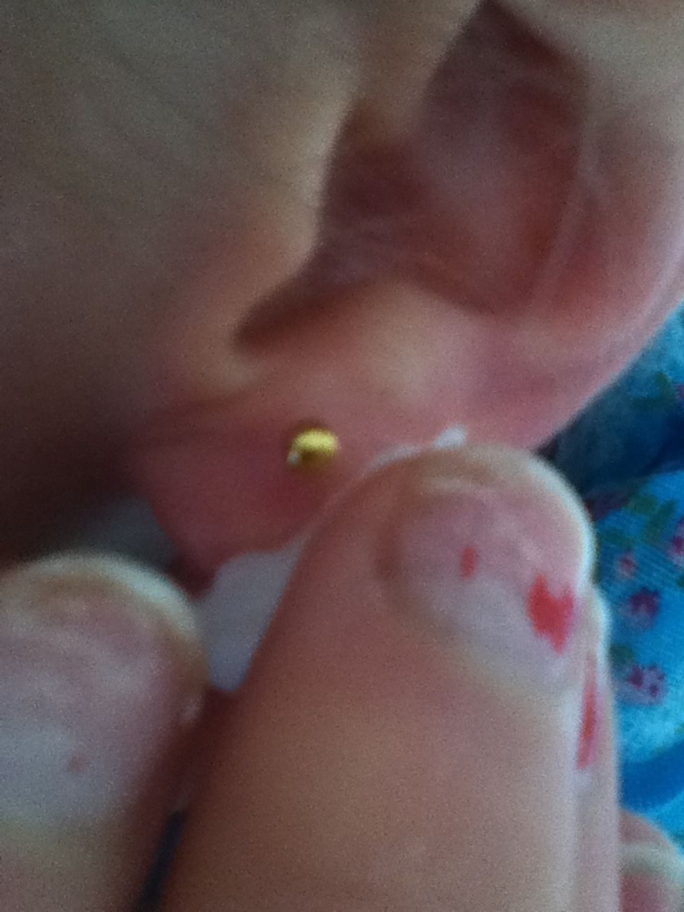 Put it all around the earring and constantly move the earring