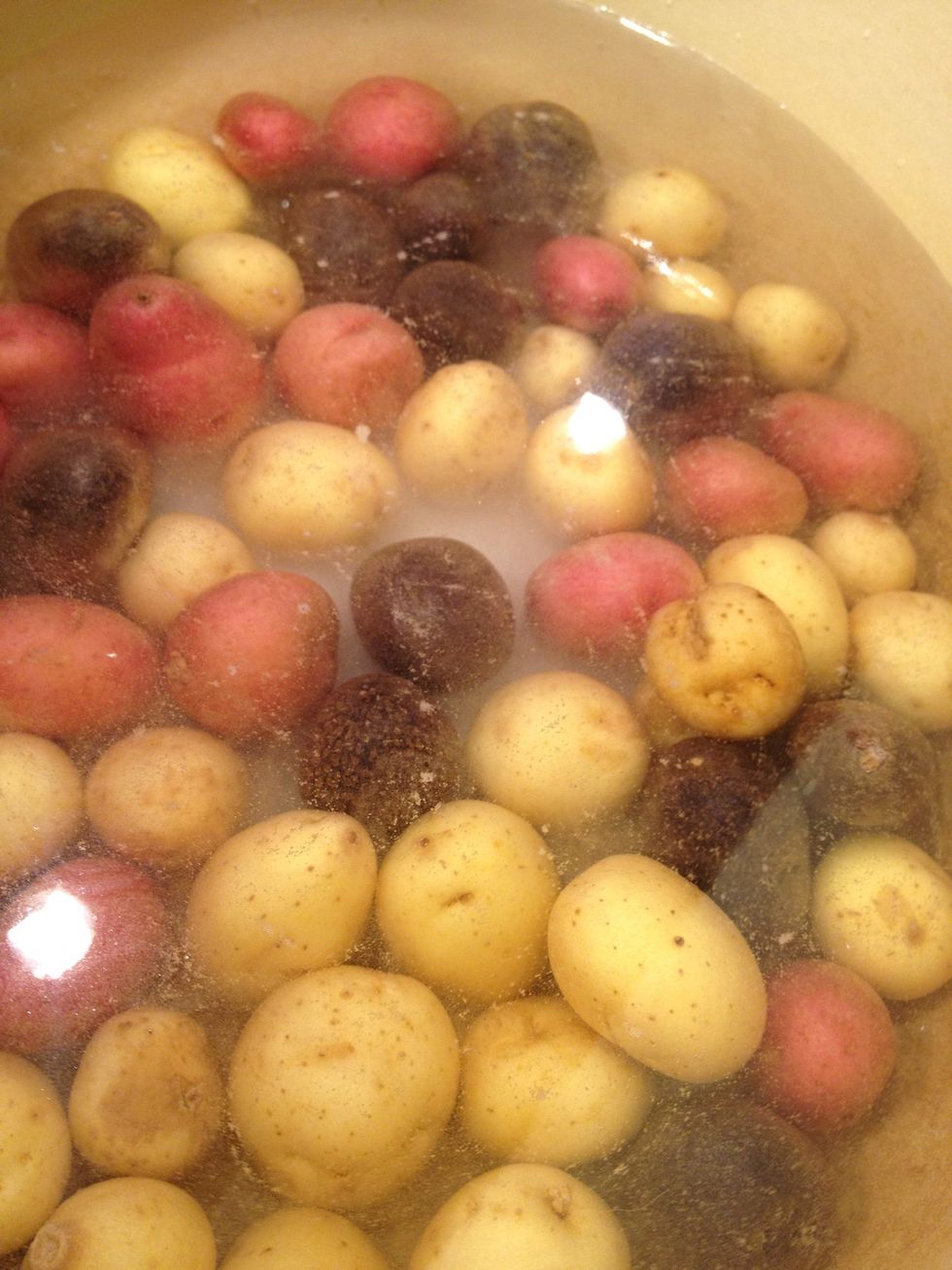 Put it in a pot with cold water and salt.