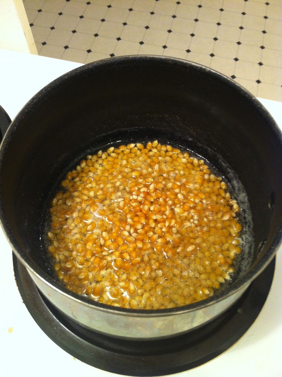 Put kernels in.  Oil should barely cover kernels.  You may choose to add seasoning salt now or at the end.  I usually add it when the kernels are cooking, makes a better flavor.  Cover pot with lid.