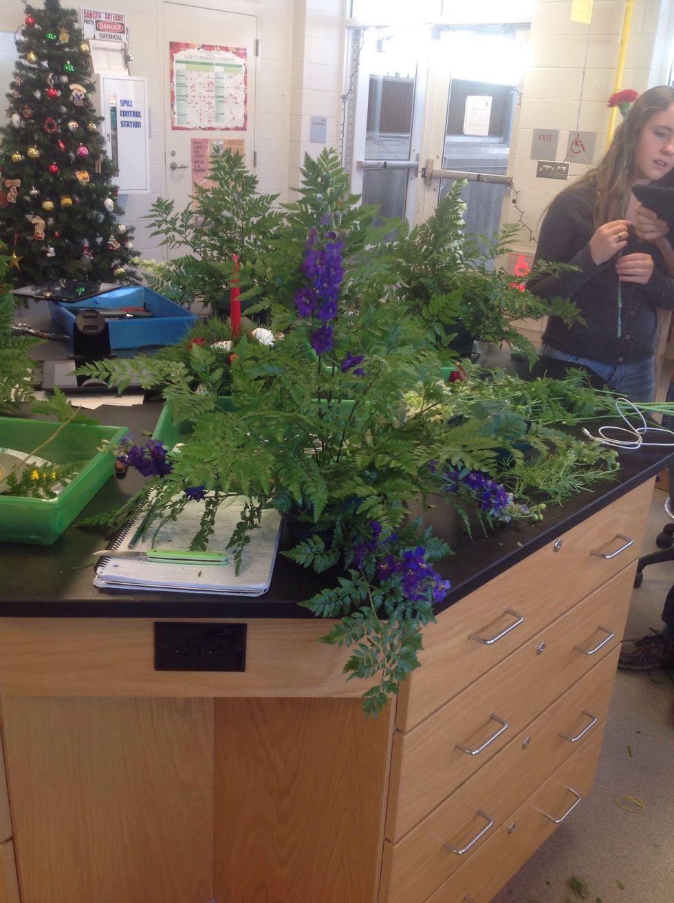 Put larkspur in the front, two sides, and back of the oasis