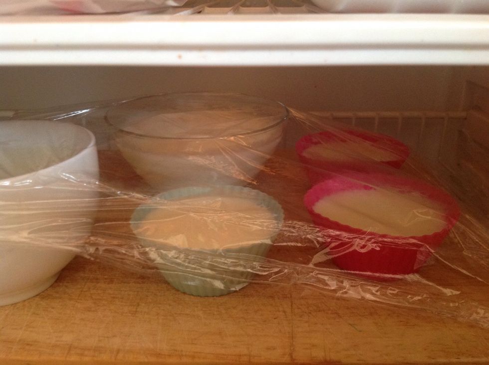 Put molds into refrigerator... Time: about 10-12 hours