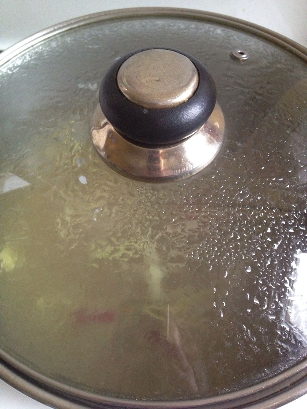 Put on the lid and let it simmer for about 20 minutes.