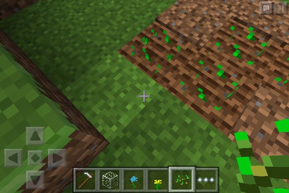 Put seeds on the spots you made with the iron hoe. If some seeds don't go in press the spot with the iron hoe