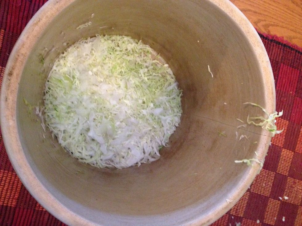 Put sliced cabbage in to crock