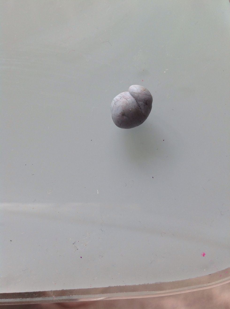 Put some blue tack on a hard surface( mines old and yucky sorry)