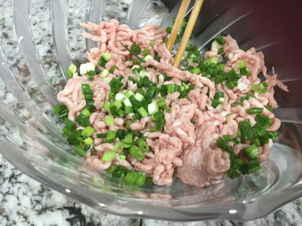 Put some ground pork and green onions in
