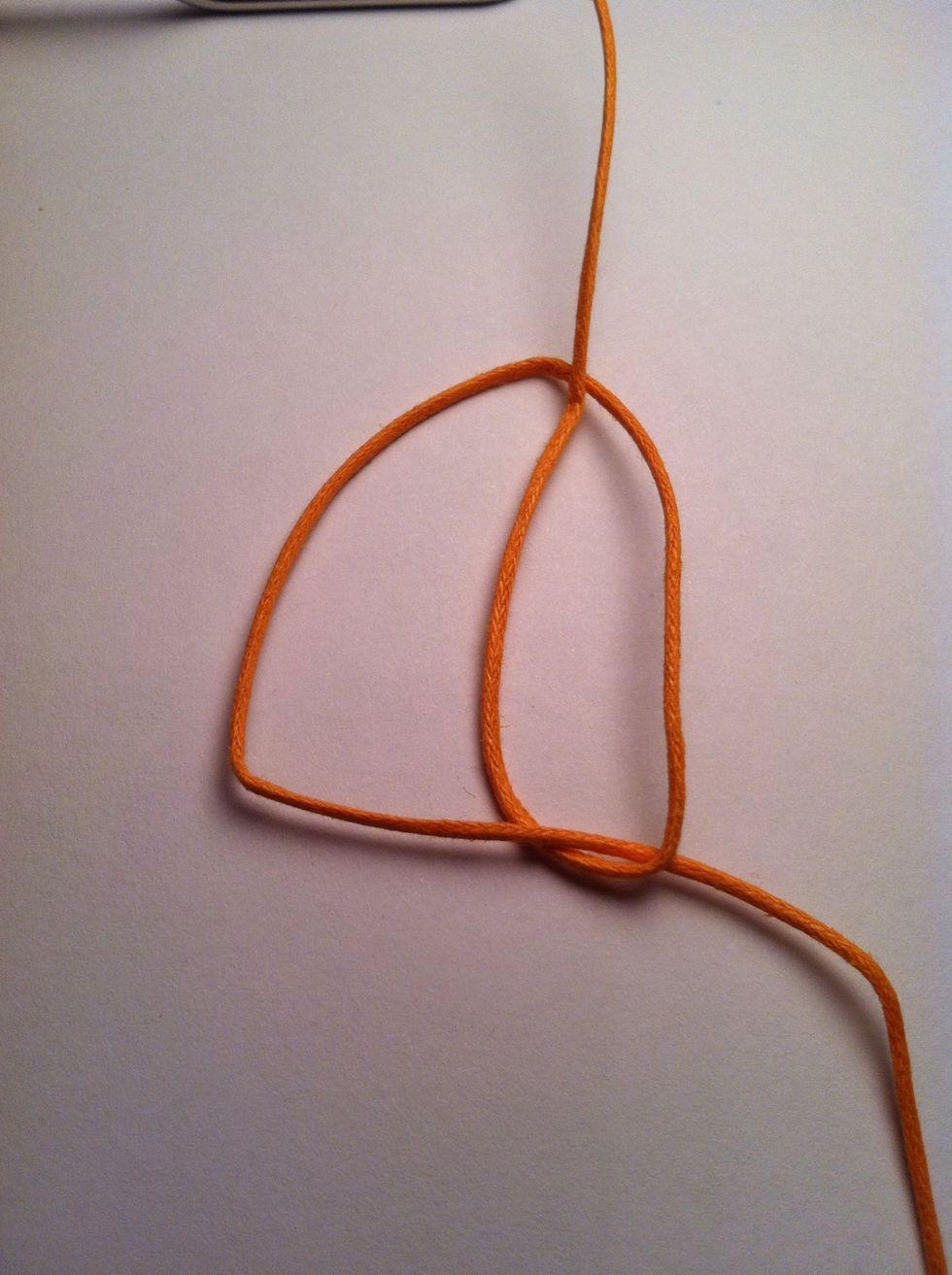 Put tail through loop from behind.