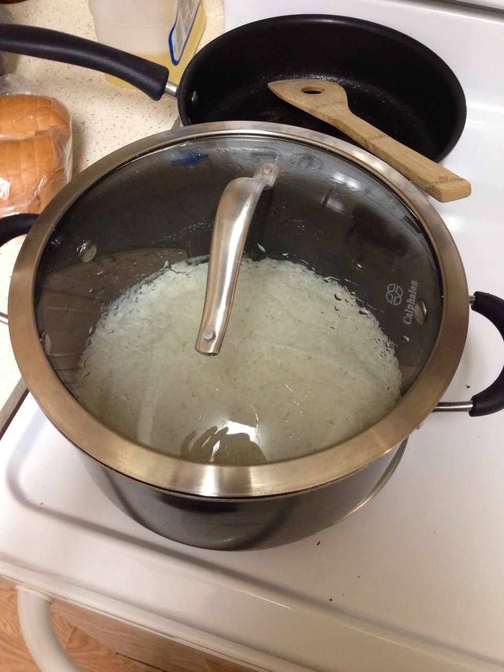 Put the 2 cups of rice and the 3 cups of water and a dash of salt in a pot and bring it to a boil, then turn it down to LO and cook for 20 min