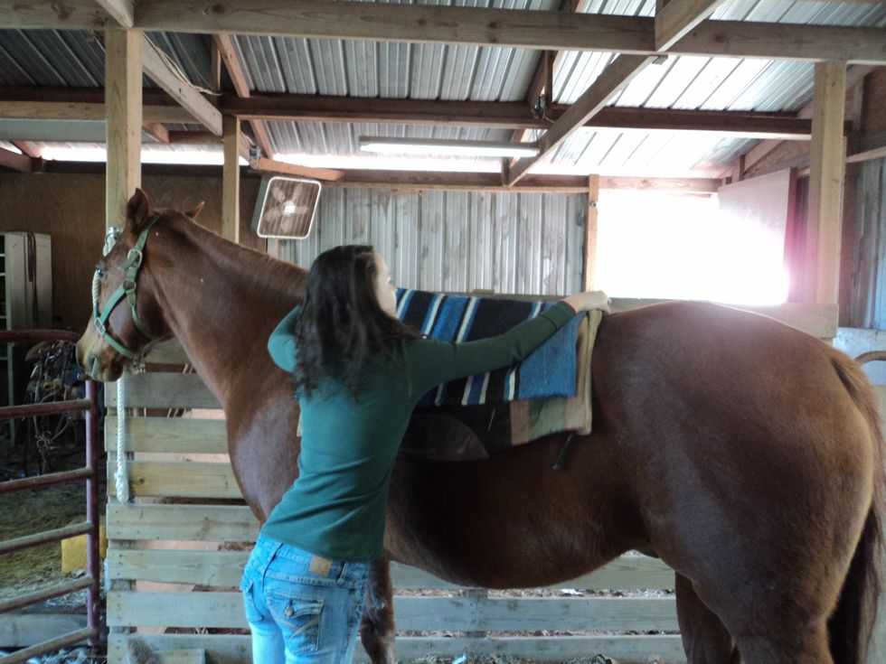 Put the blanket on the horses withers