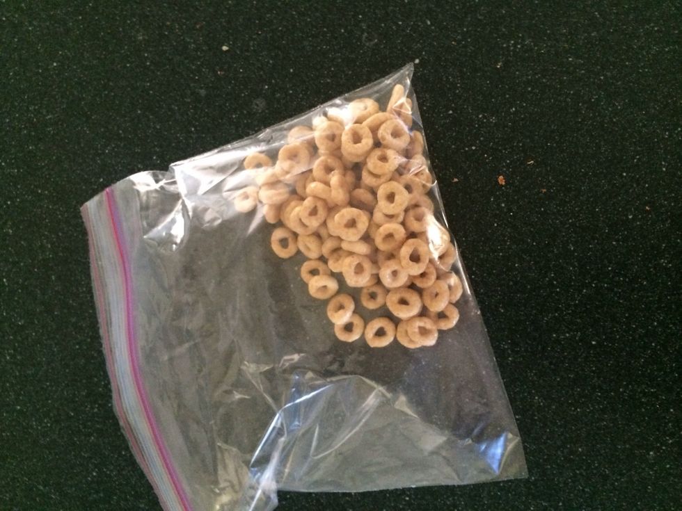 Put the Cheerios in the bag.
