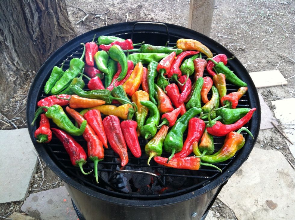Put the chiles on a hot grill. I prefer to roast my chiles with mesquite or applewood. You can also use gas.  I'll save the grill lighting instructions for another guide.