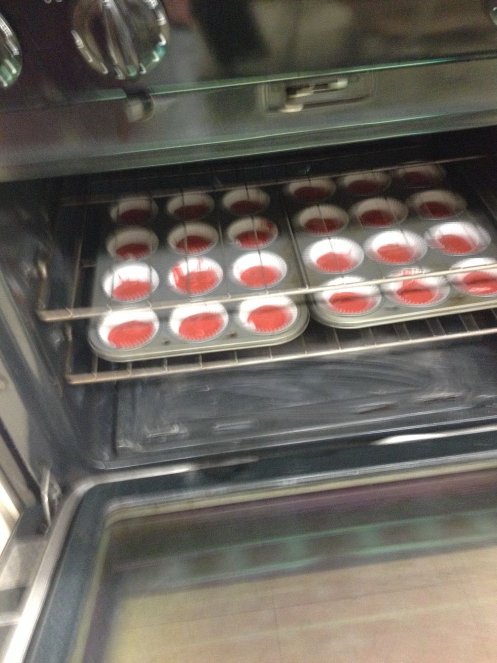 Put the cupcake mix in the oven