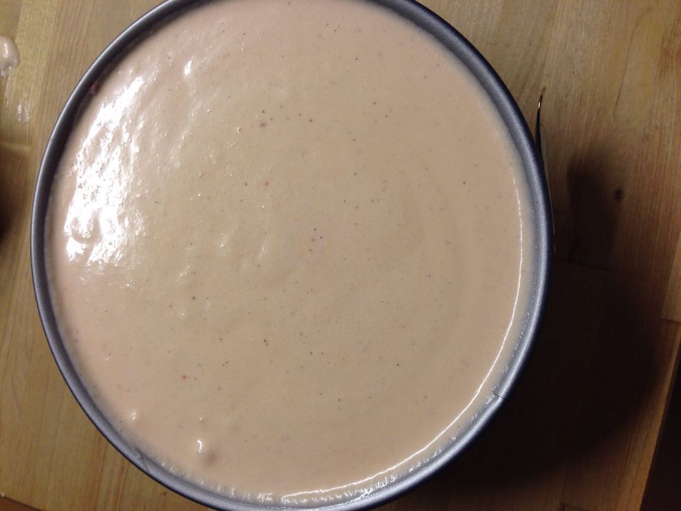 Put the curd mixture over the biscuit and put it in the fridge over night