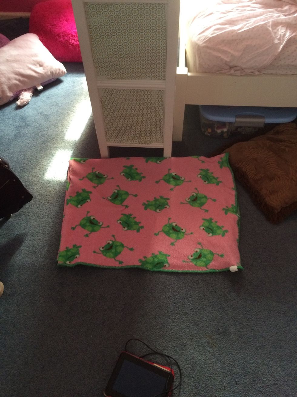 Put the first blanket in the desired spot (I put mine next to my bed so he can easily see me and hop up on my bed)