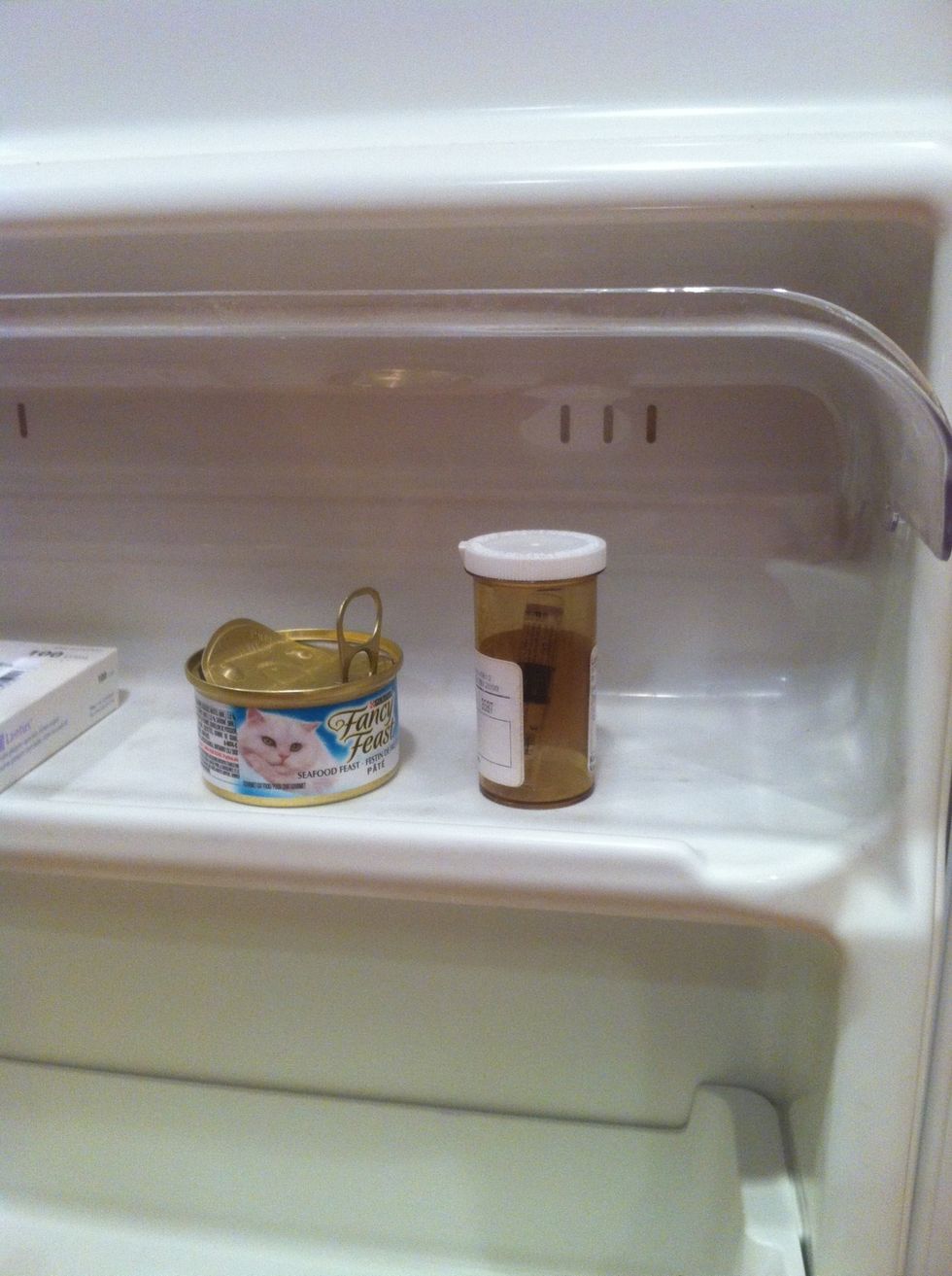 Put the insulin and wet food back in the fridge