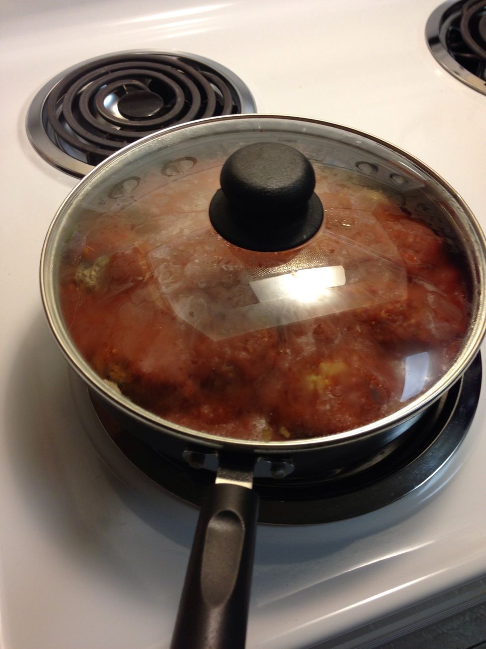 Put the lid on the pan. And let it cook for 15-20 mins