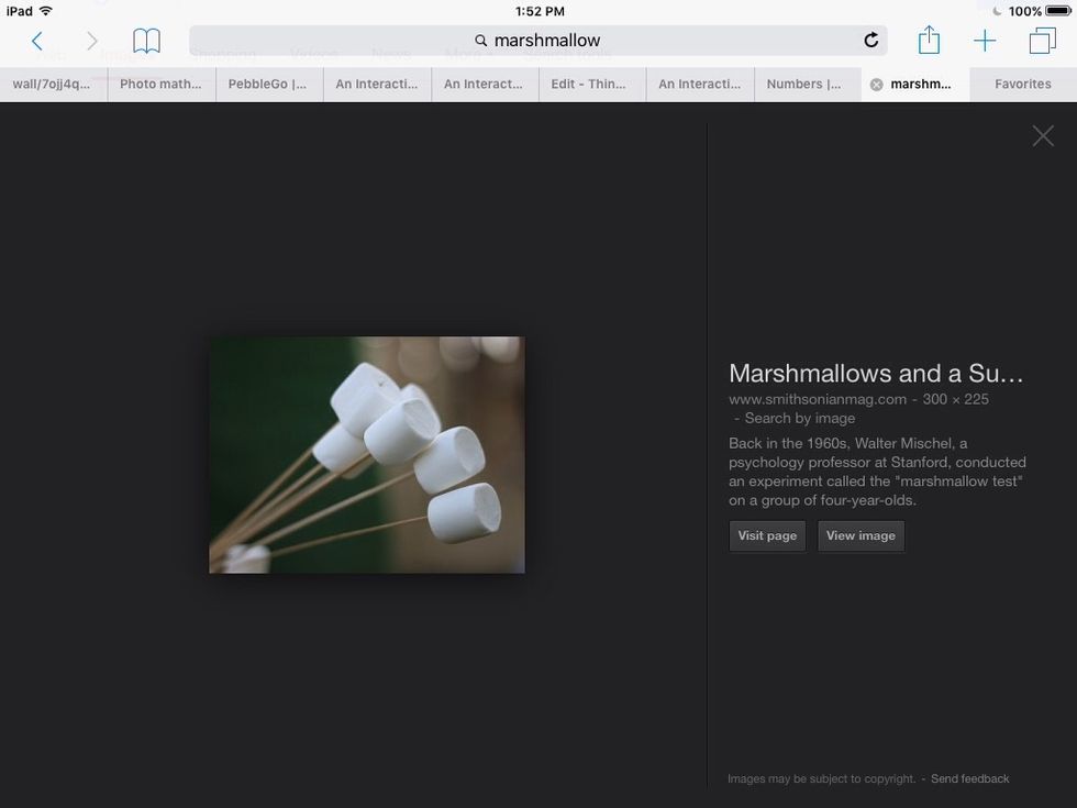 Put the marshmallows on the stick and put them in the fire