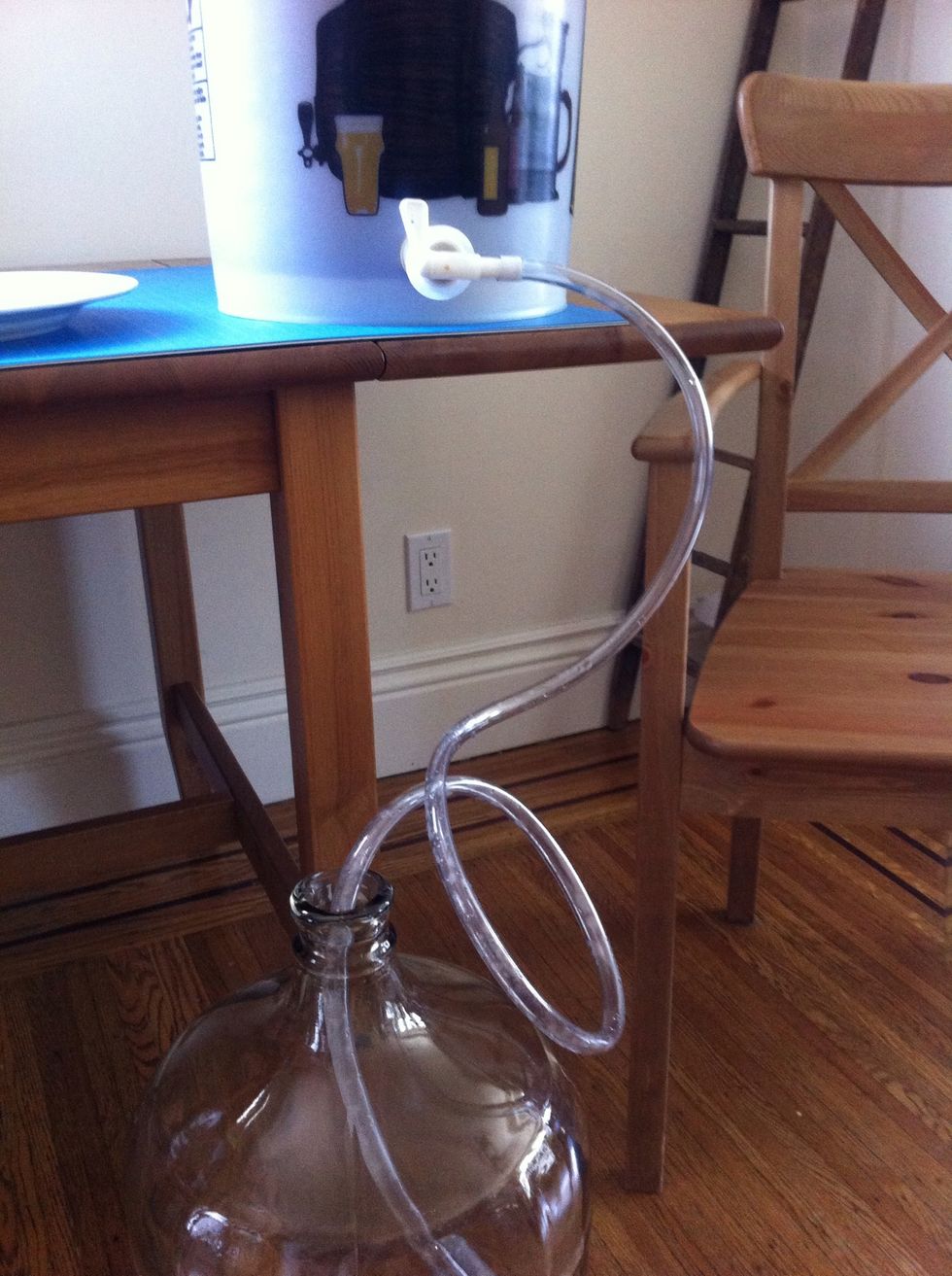 put the other end of the siphon tube into the carboy below the primary.