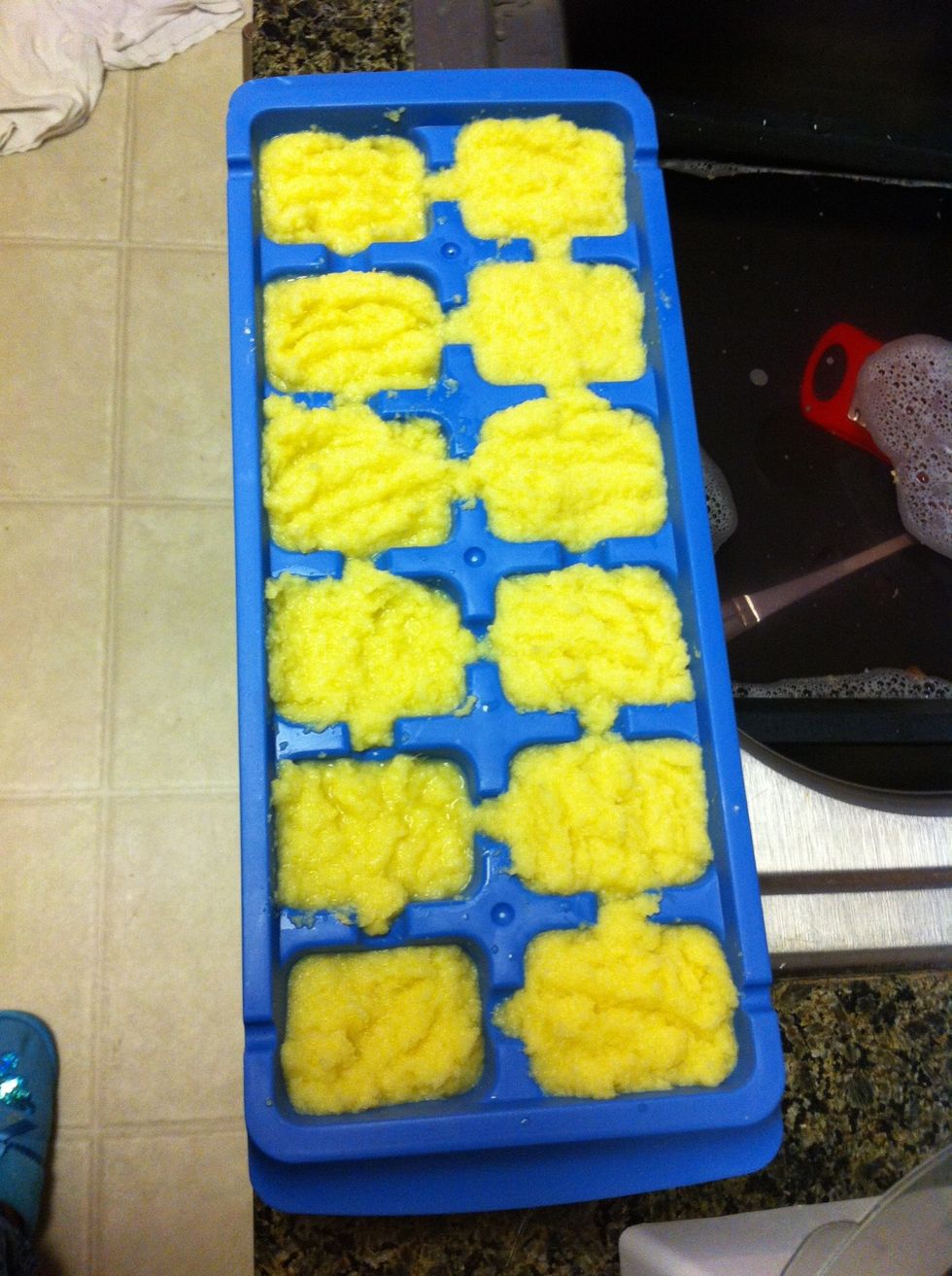 Put the paste in ice cube trays and in the freezer.