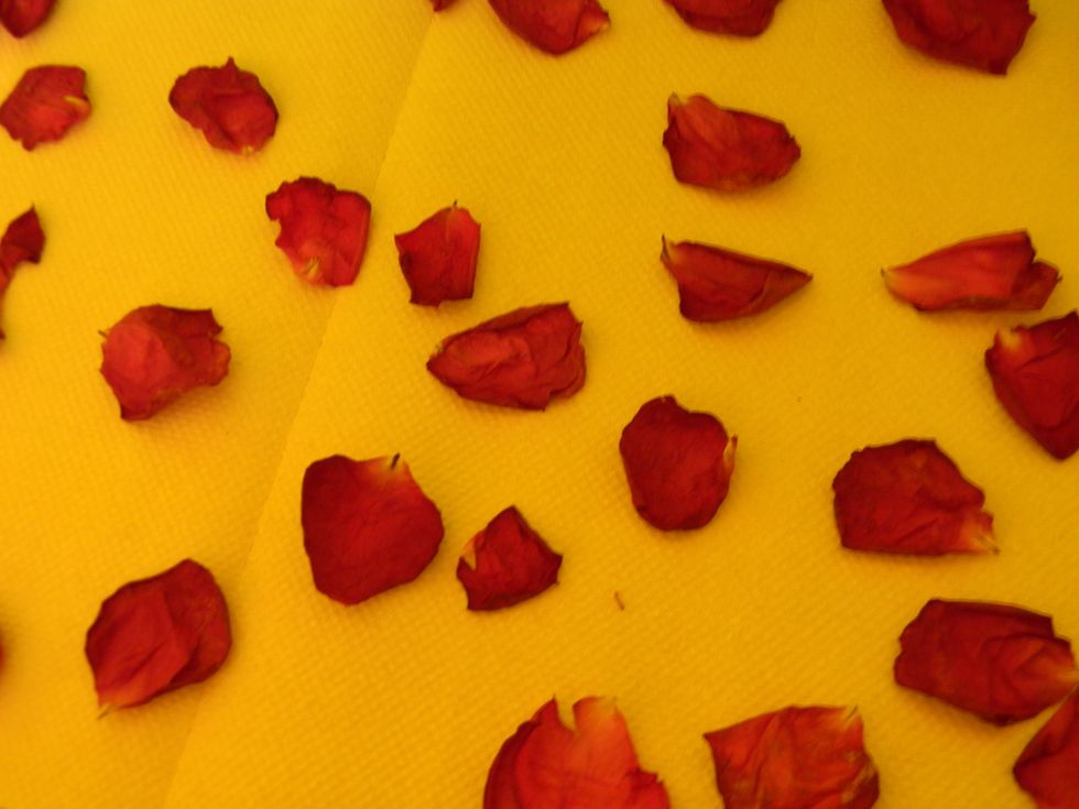 Put the petals on a sheet of paper towel and let them air dry for at least 24 hours.