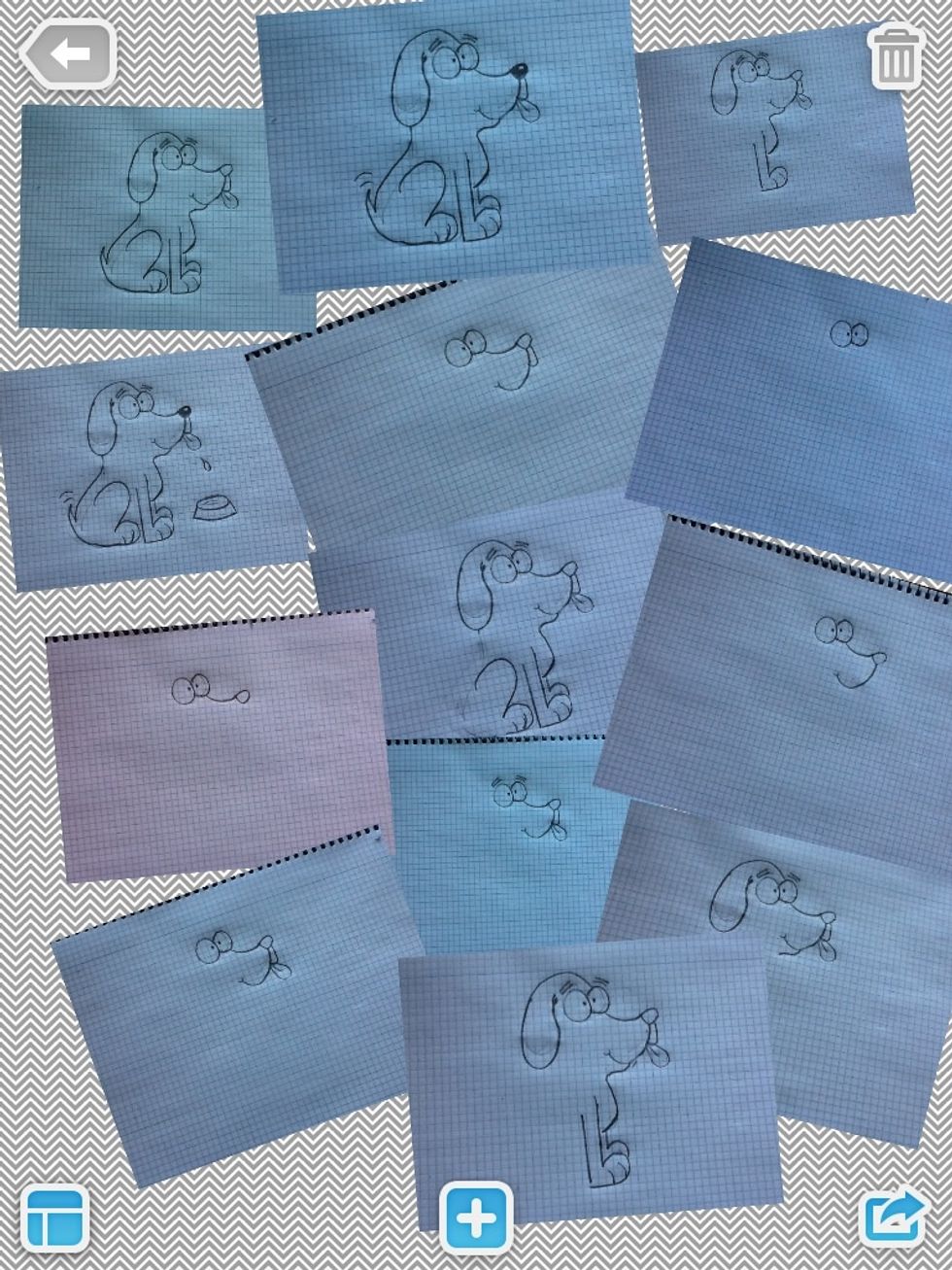 Put the photos you want