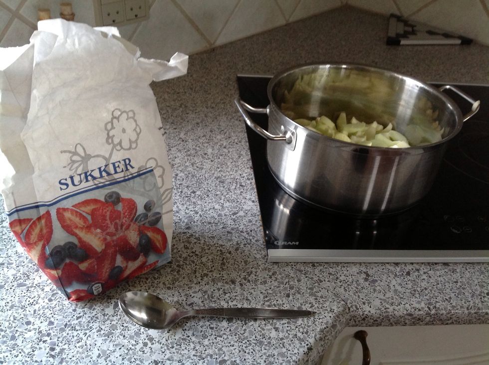 put the pot \u00f3n the coocker