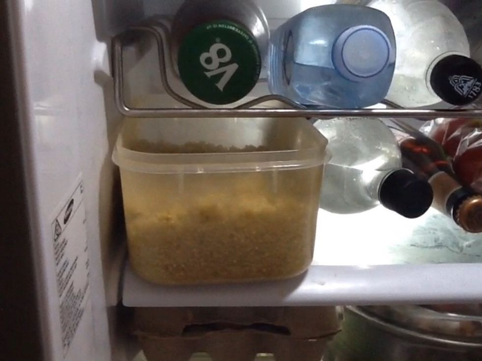 Put the quinoa into a plastic container and place it in a fridge.