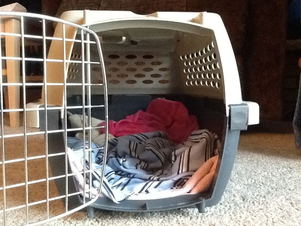 Put the rags in the kennel. They don't need to be in any certain arrangement and they don't have to be too neat.
