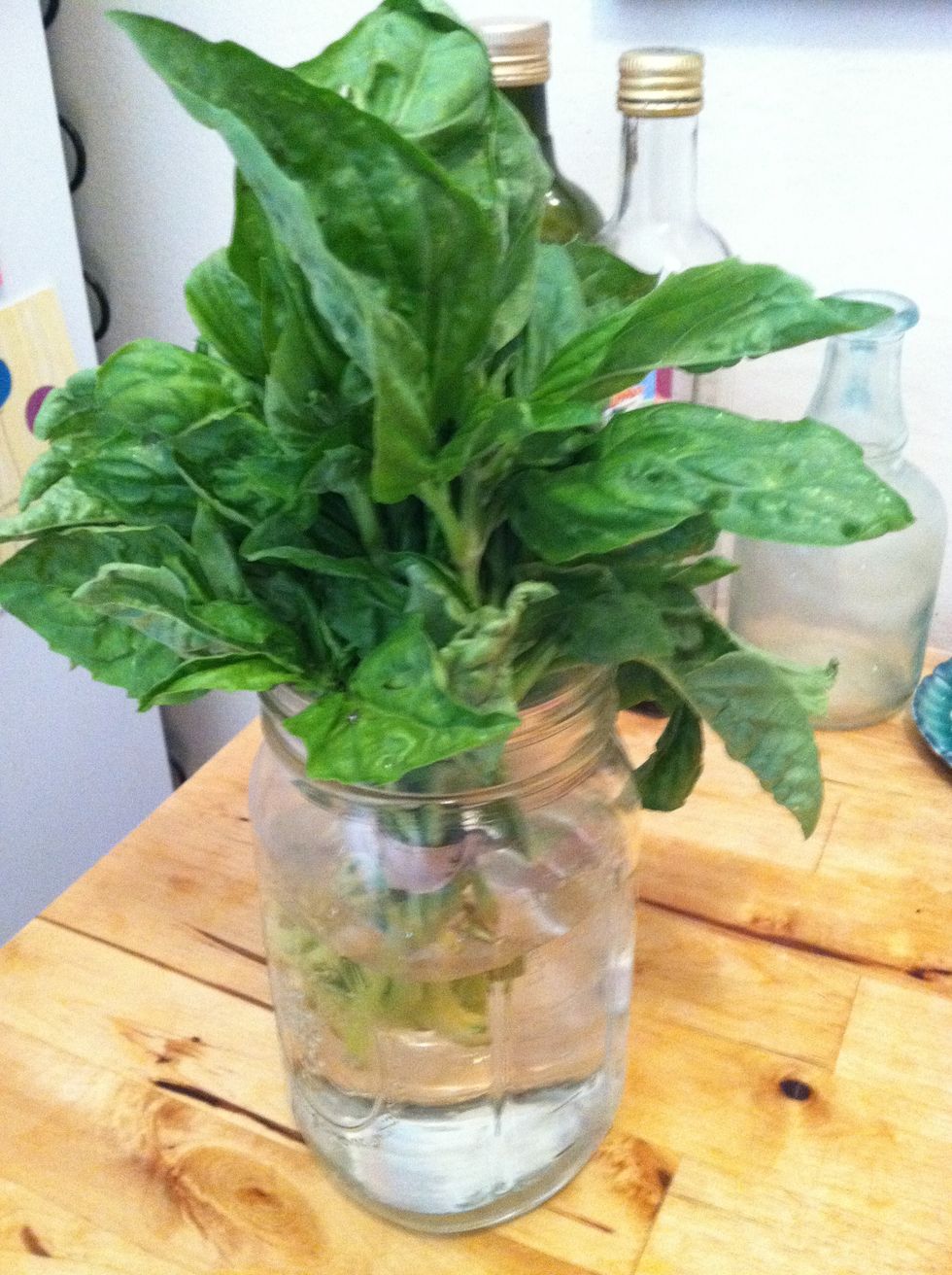 Put the rest of your basil in water and it will stay fresh longer